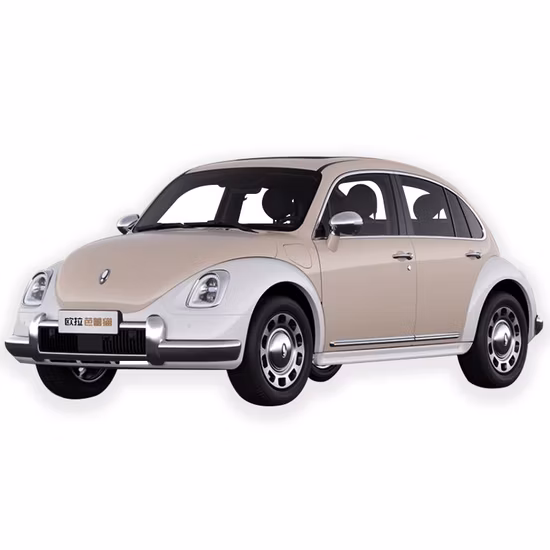 Hochwertiges 4-Rad-2-Sitzer-Elektroauto, Hochgeschwindigkeits-Elektroauto, elektrisches Miniauto für Erwachsene