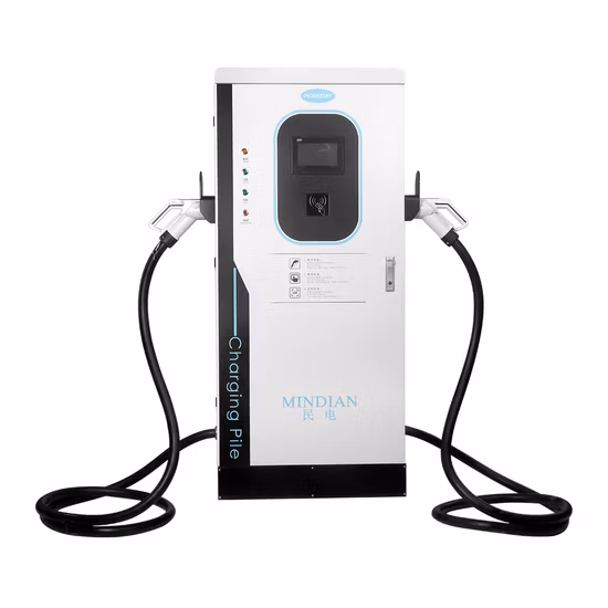 Elektroauto DC Schnellladegerät 30 kW 40 kW 60 kW Double Guns Floor